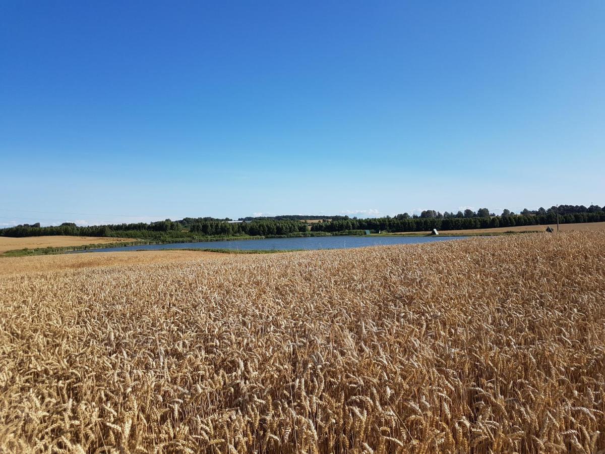 Sterla - Masuria Villa Giżycko Dış mekan fotoğraf